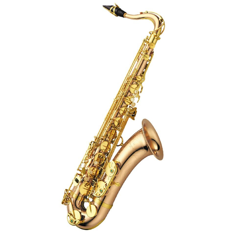 【最終価格】楽器 管楽器、テナーサックス 在庫あり即納可能】 YANAGISAWA T-WO1 テナーサックスセット