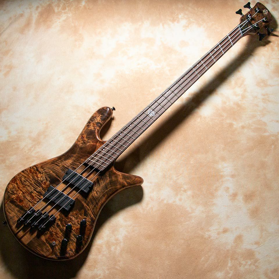 Spector/NS DIMENSION MS 4 Super Faded Black【チョイキズ特価