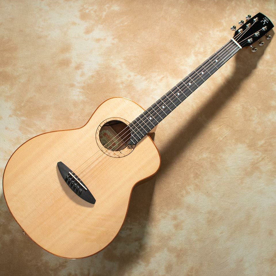 aNueNue/aNN-L100E | 宮地楽器 ららぽーと立川立飛店 公式オンライン