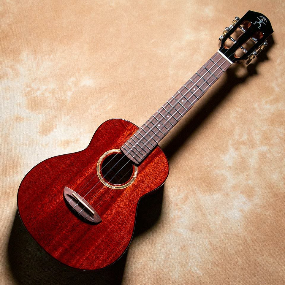 aNueNue/aNN-AMM2 Africa Mahogany II Concert | 宮地楽器 ららぽーと