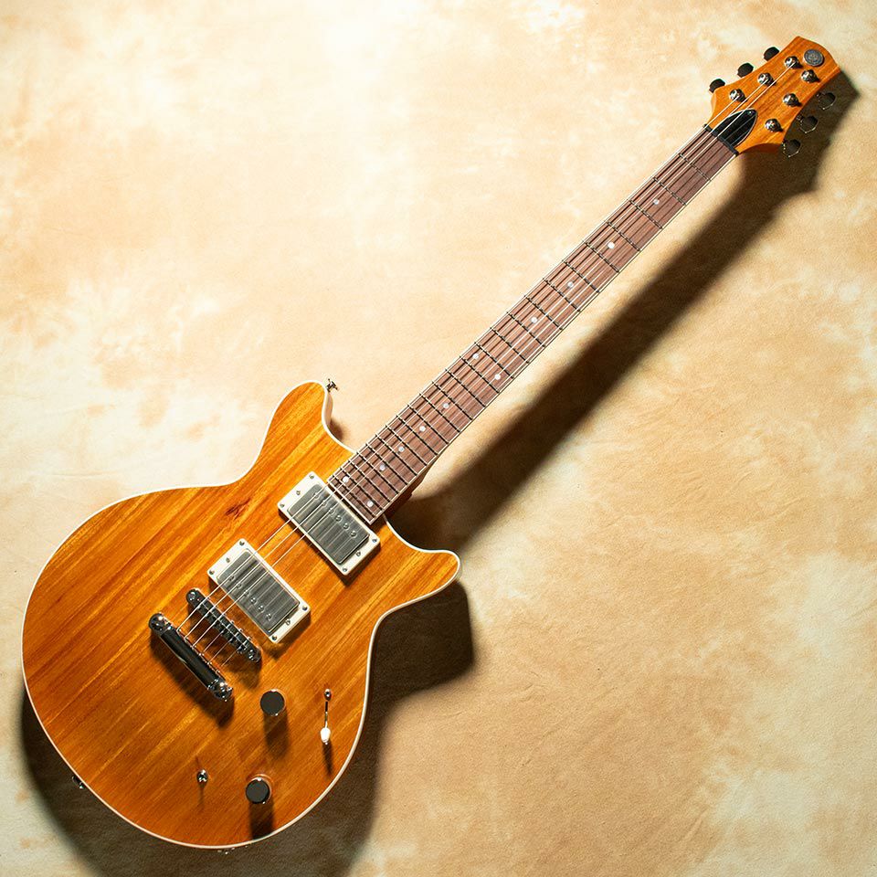 Kz Guitar Works/Kz One Solid Carved Top 24F 2H6 T.O.M New Guinea