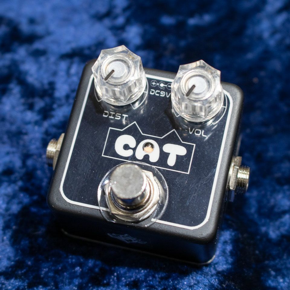 THE NEXT SOUND/CH-09 CAT【箱ボロ特価！】 | 宮地楽器 ららぽーと立川
