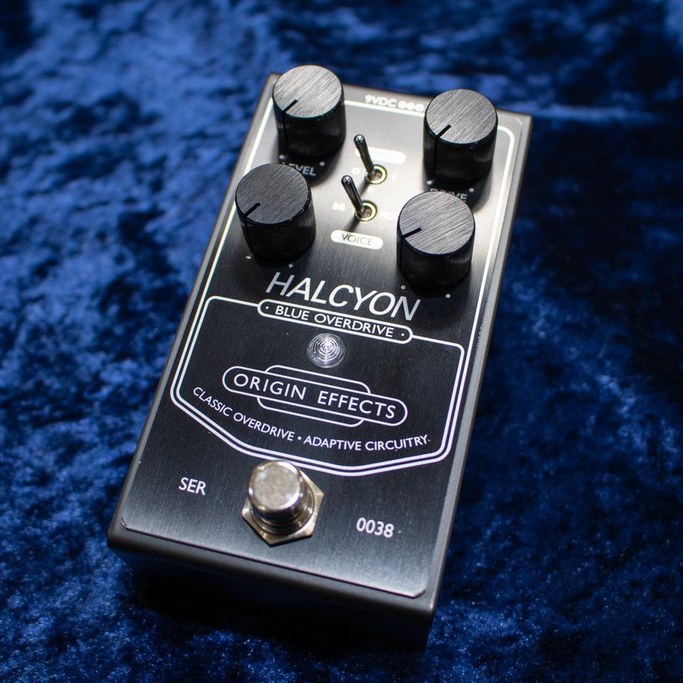 ORIGIN EFFECTS/Halcyon Blue Overdrive Black Edition | 宮地楽器