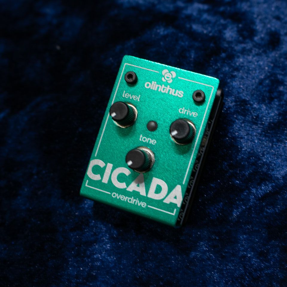 Olinthus/CICADA | 宮地楽器 ららぽーと立川立飛店 公式オンラインショップ