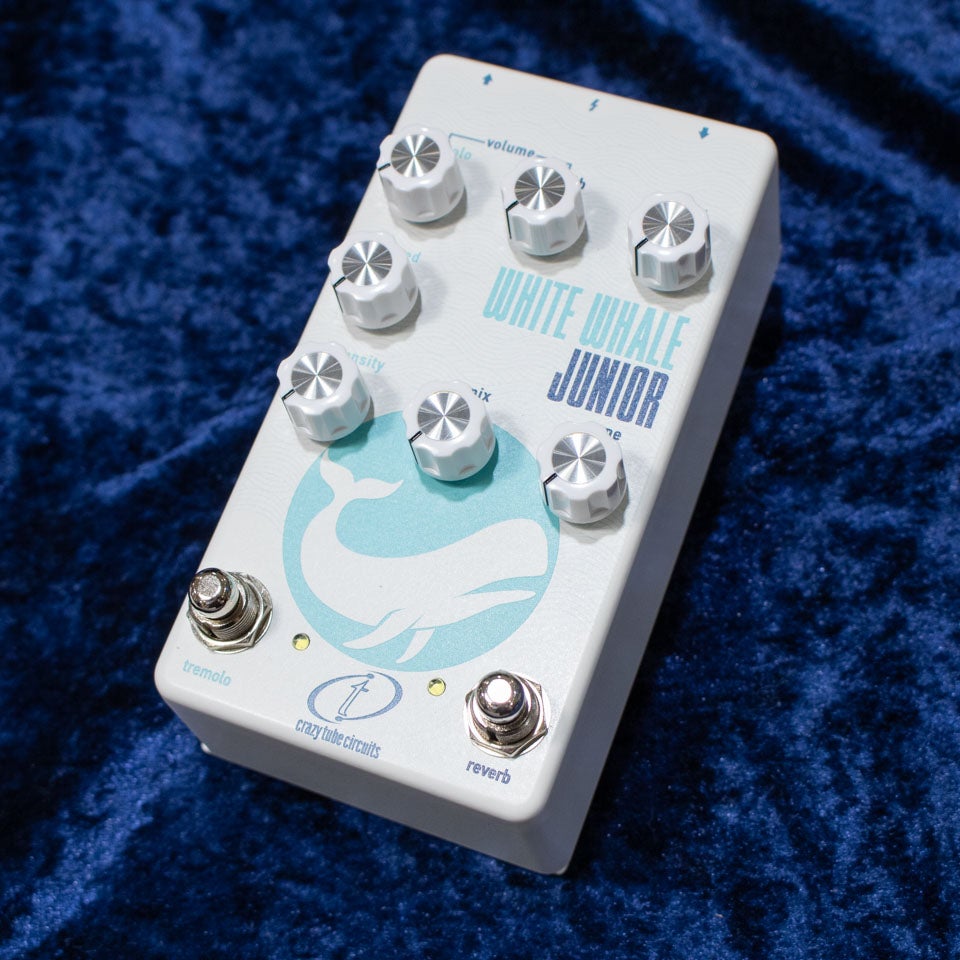 Crazy Tube Circuits/White Whale JR | 宮地楽器 ららぽーと立川立飛店 Crazy Tube Circuits/White Whale JR | 宮地楽器 ららぽーと立川立飛店